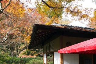 奥湯河原のお茶室