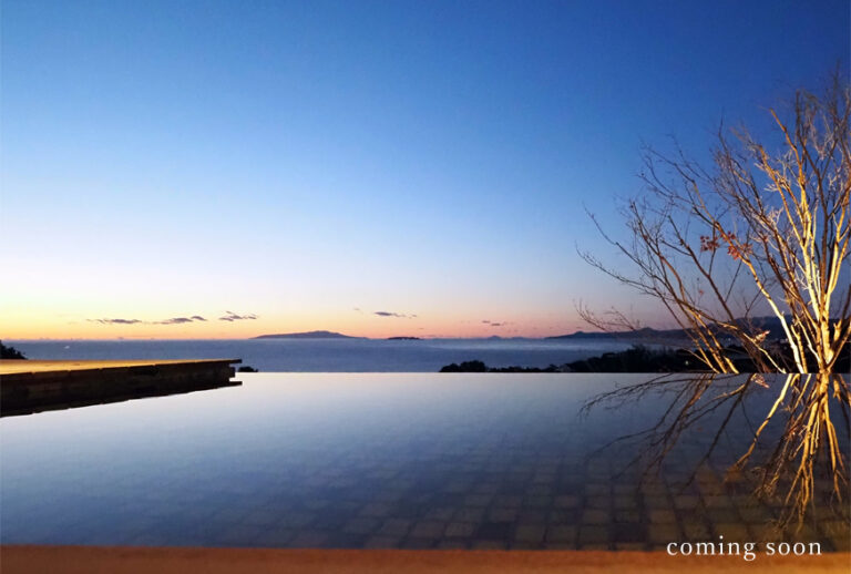 villa t project